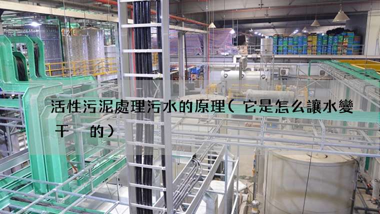 活性污泥處理污水的原理(它是怎么讓水變干凈的)